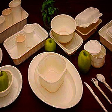 فروش ظروف یکبار مصرف گیاهی قیمت کارخانه