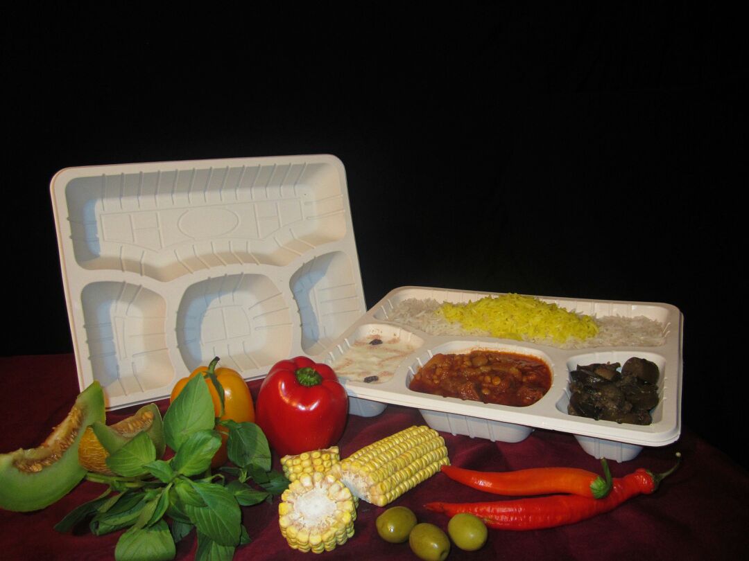 عمده فروش ظروف یکبار مصرف گیاهی در مشهد