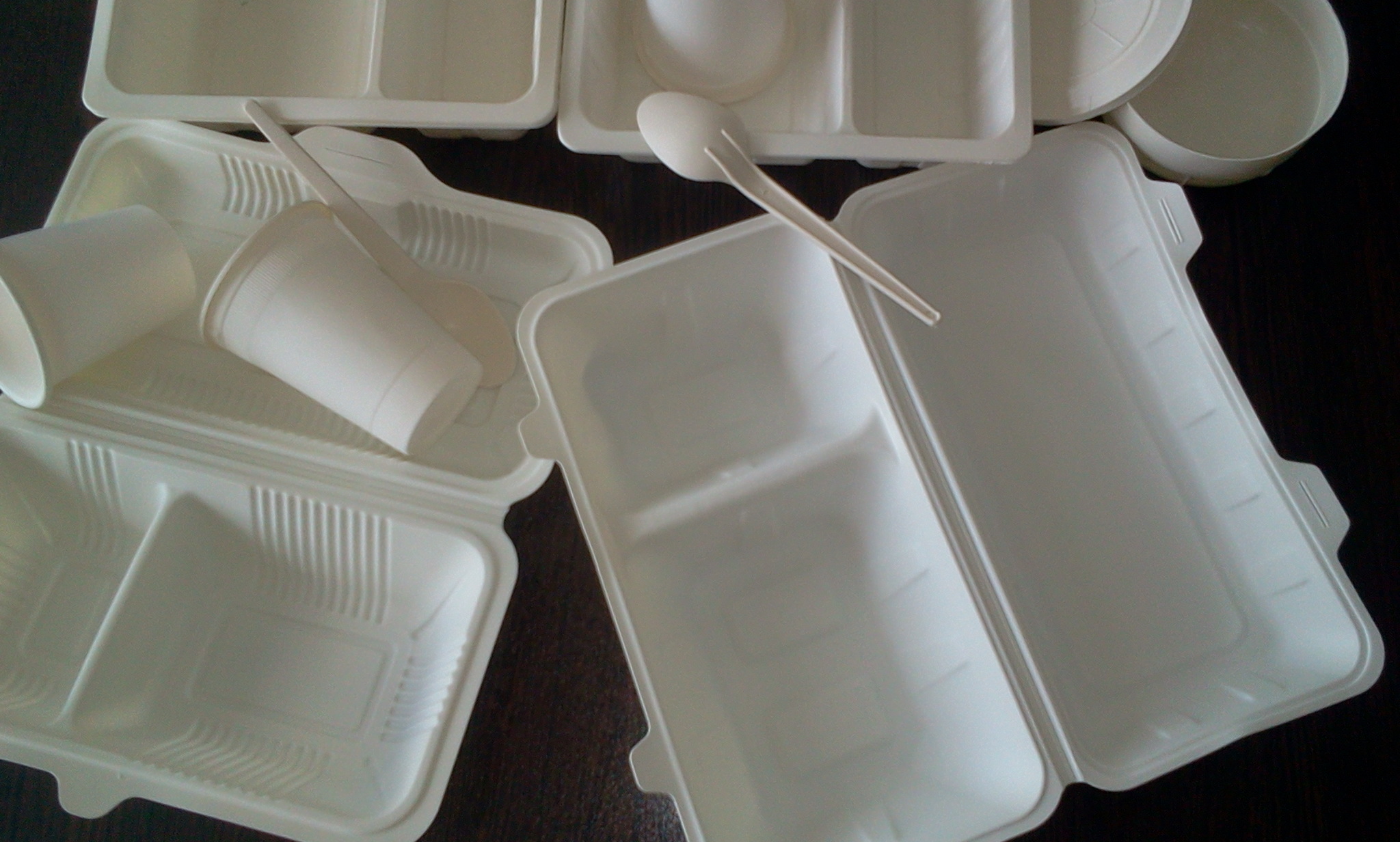 مرکز صادرات ظروف یکبار مصرف گیاهی