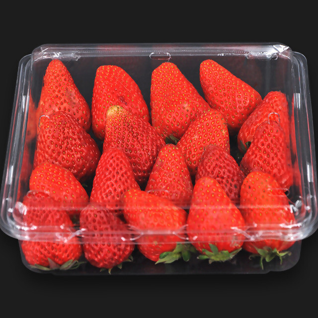 فروش عمده ظروف یکبار مصرف پلاستیکی درب دار