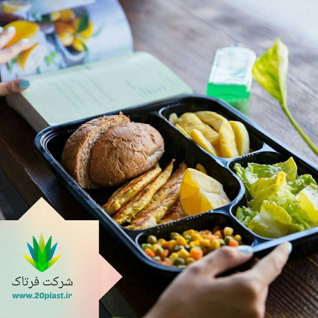 تولید ظروف یکبار مصرف جدید صادراتی