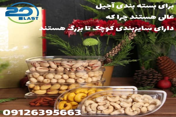 ظروف بسته بندی آجیل